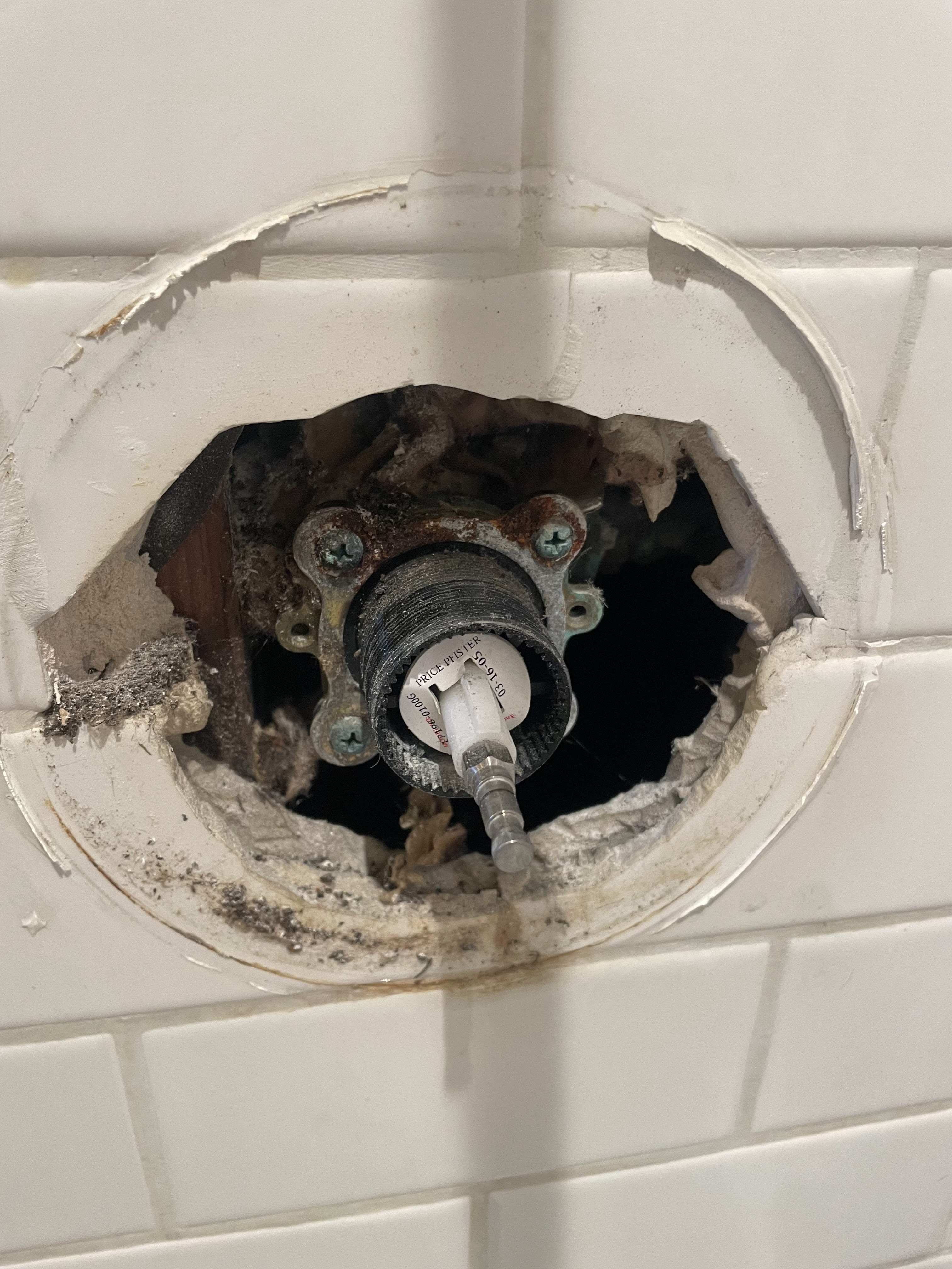 Shower Before